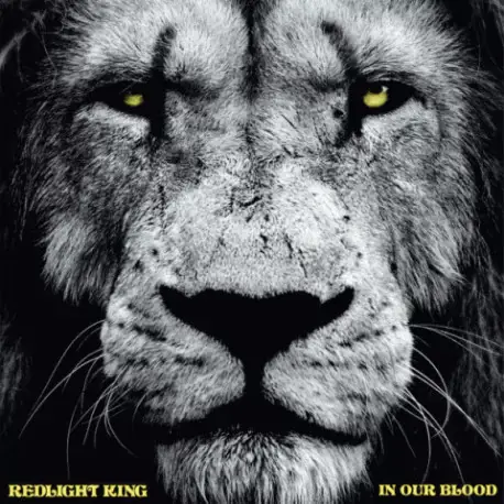Gyors szállítás CD Redlight King: In Our Blood (Digipak)