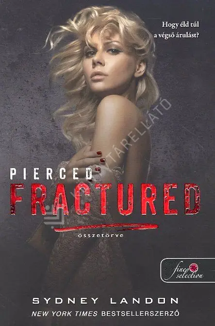 Pierced Fractured - Összetörve (Lucian & Lia 2.) Expressz kézbesítés